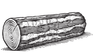 log illustration