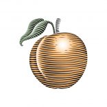 Peachey Logo