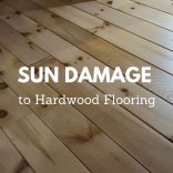 sun damage blog image